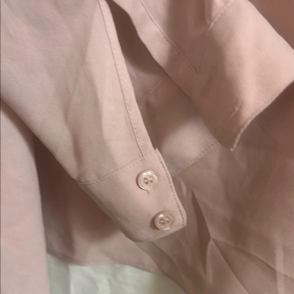 Pale Pink Sheer Women's Top by Lane Bryant - Picture 10 of 11